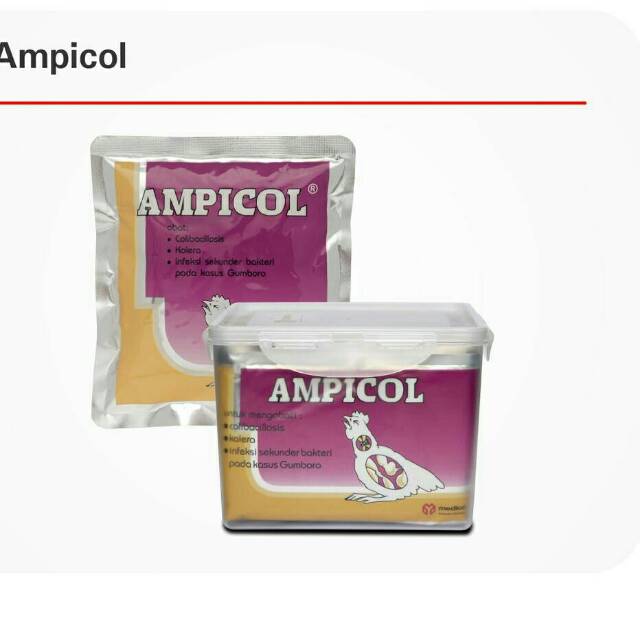 

AMPICOL 100 gr