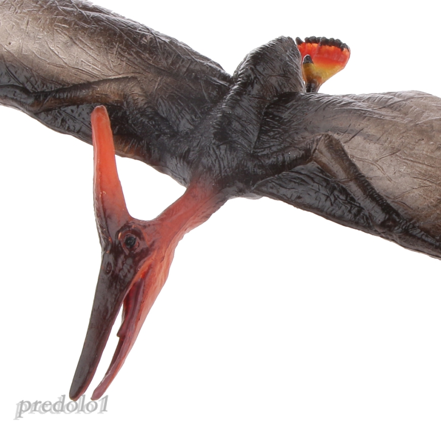 [PREDOLO1] Realistic Cretaceous Pteranodon Model Toy Action Figure Collectible Decor