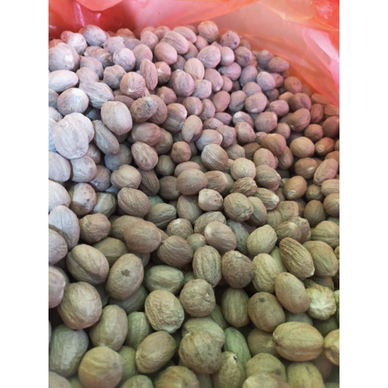 

Biji Pala Bulat 1KG Kilogram / Nutmeg Whole Asli!!! dan fresh