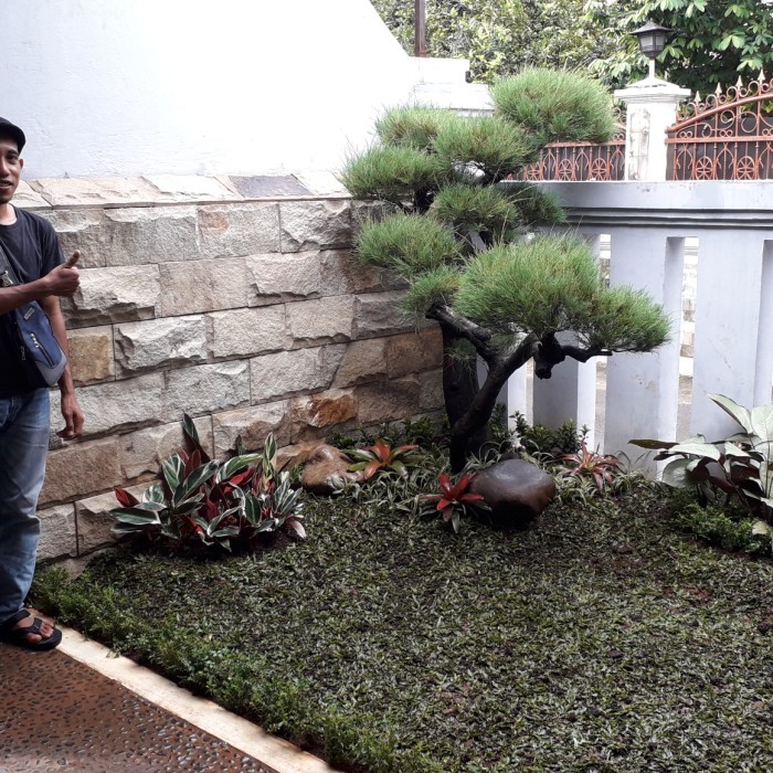Jasa Pembuatan Taman, Kolam , Saung Gazebo dan Lain-lain.