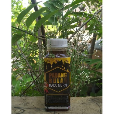 

Madu Asli Madu Murni Madu Murni Asli 100% Madu Asli 100% Madu Asli 100% Tanpa Campuran 350 gr