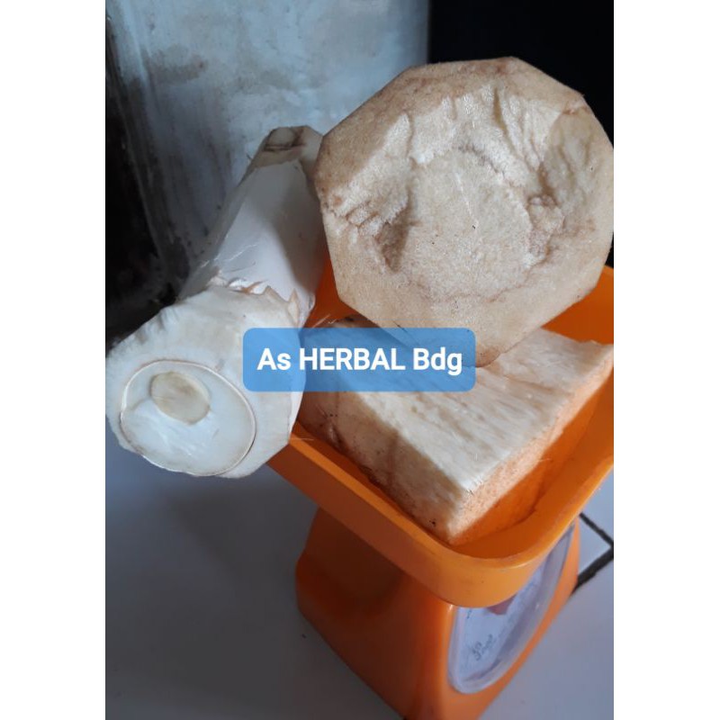 

Paket 1 Kg Umbut Aren Segar / bahan masakan tradisional-az