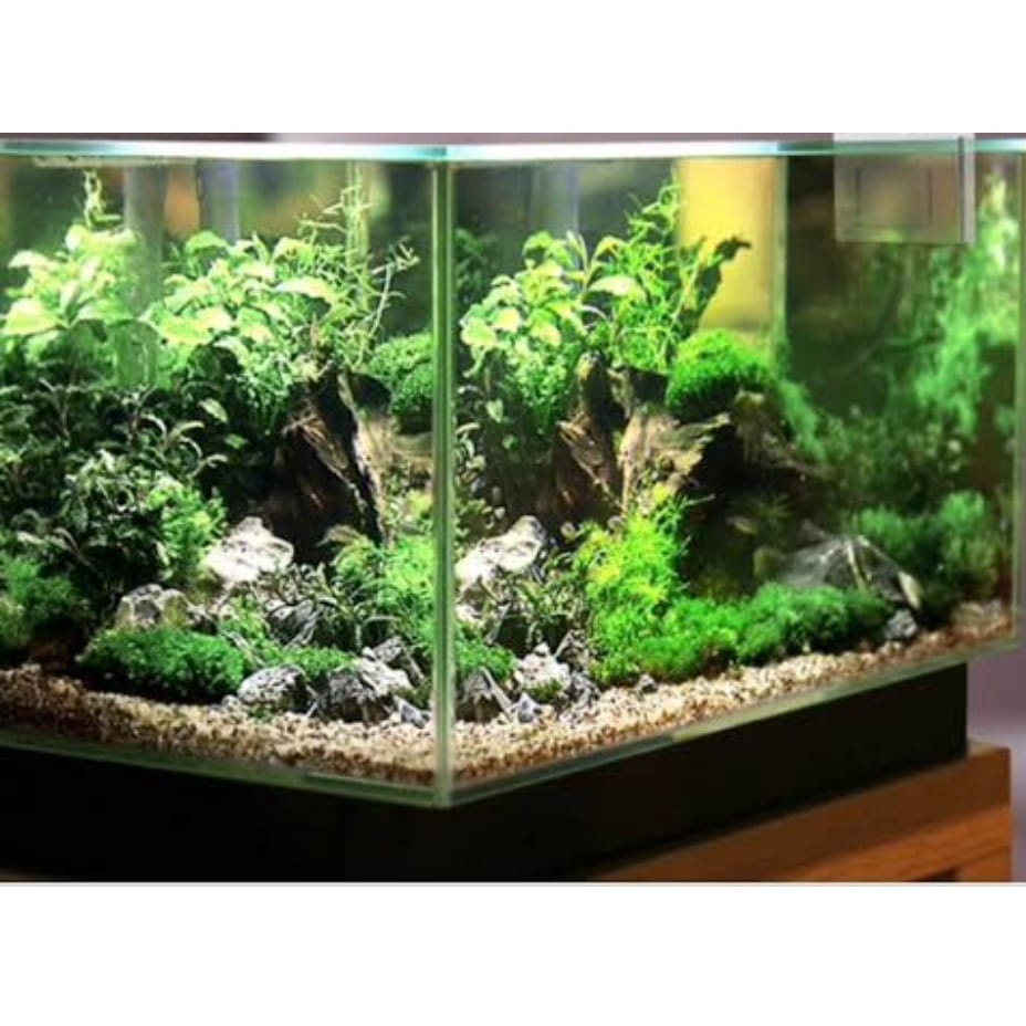 Lampu aquarium 20cm WARNA PUTIH / Lampu Led / Lampu Akuarium / Lampu Celup