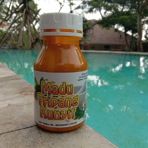 

Madu Tripang Kunyit Original Herbal Magh Akut Asam Lambung dan Gerd