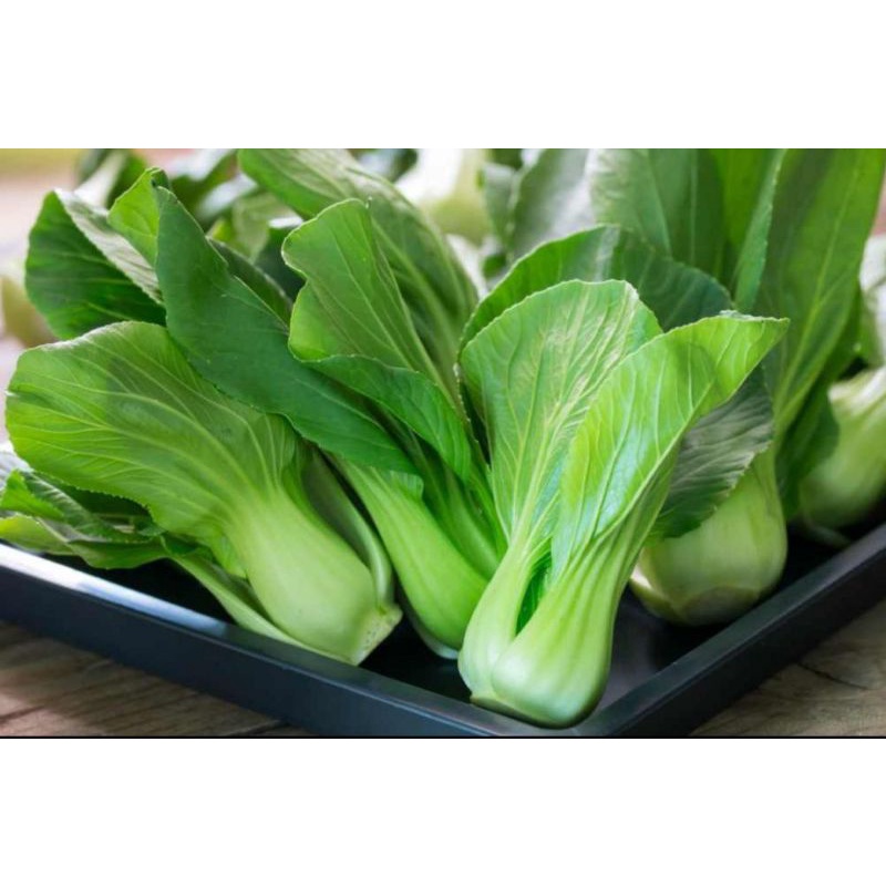 

Sayur pakcoy segar by surga kebutuhan ku pakcoy sweet green mustard