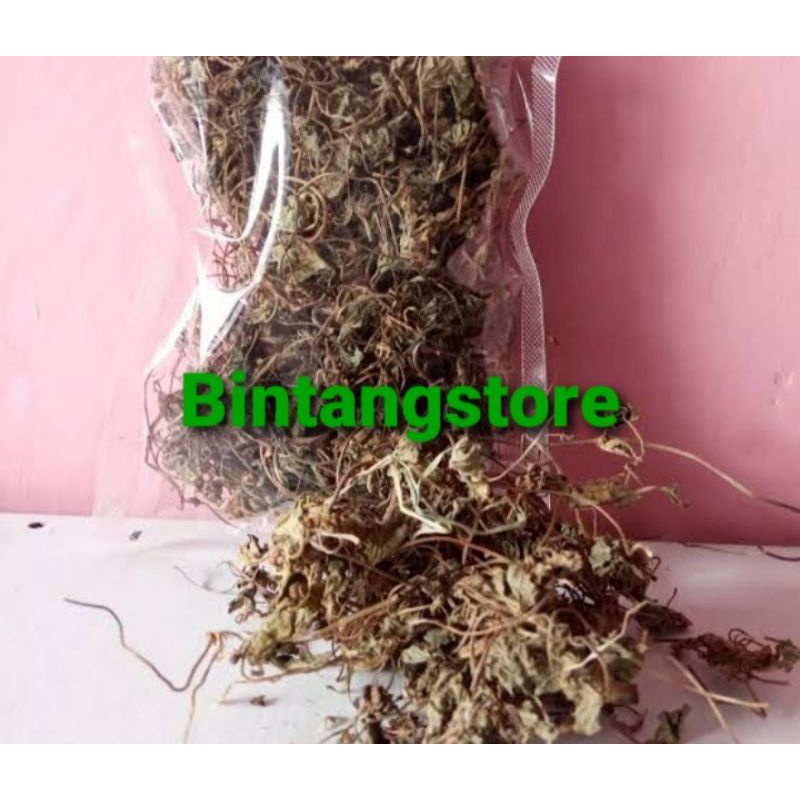 

Daun pegagan kering daun tapak kuda kering 500 gram asli
