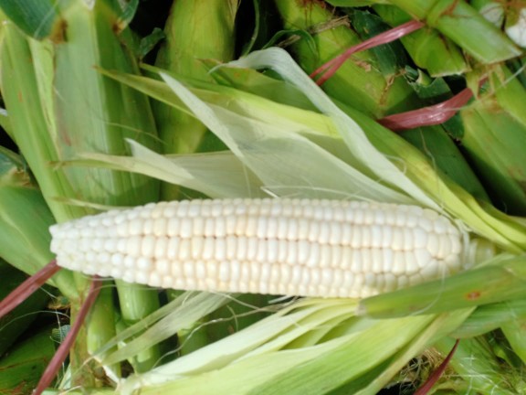 Alat Pemisah Kuning Putih Telur/saringan Telur/alat Dapur