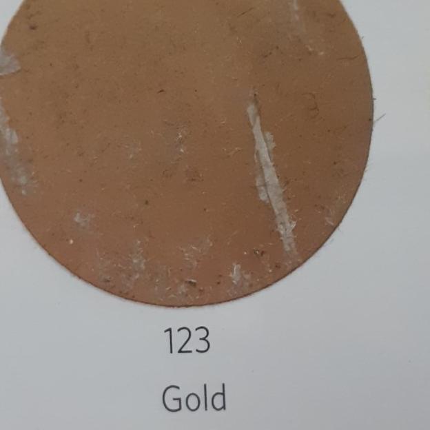 Pylox Pilox Pilok Nippon Paint Cat Semprot 300cc Warna Gold/Emas