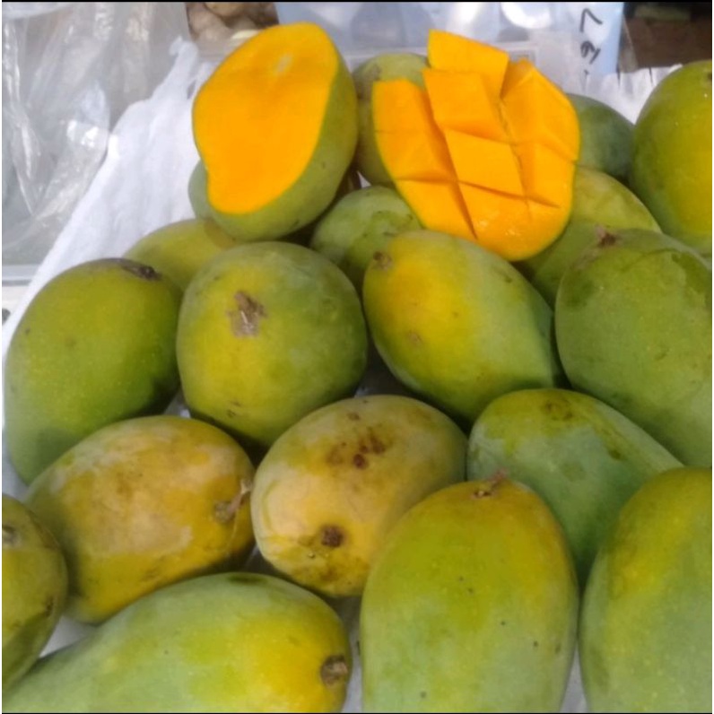 

mangga harum manis grade A harga perkilo