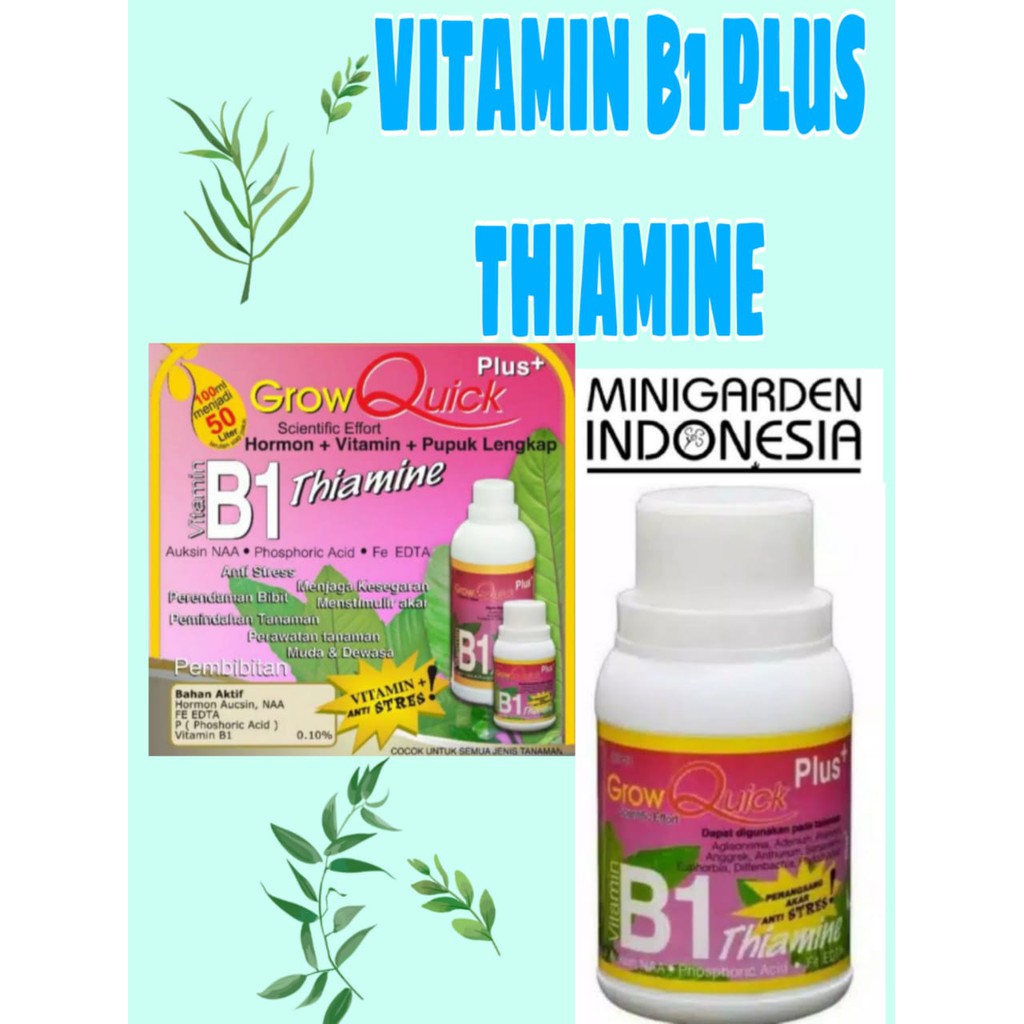 THIAMINE VITAMIN B1 100ML PLUS pupuk GROW QUICK obat anti stress penumbuh penyubur akar tanaman