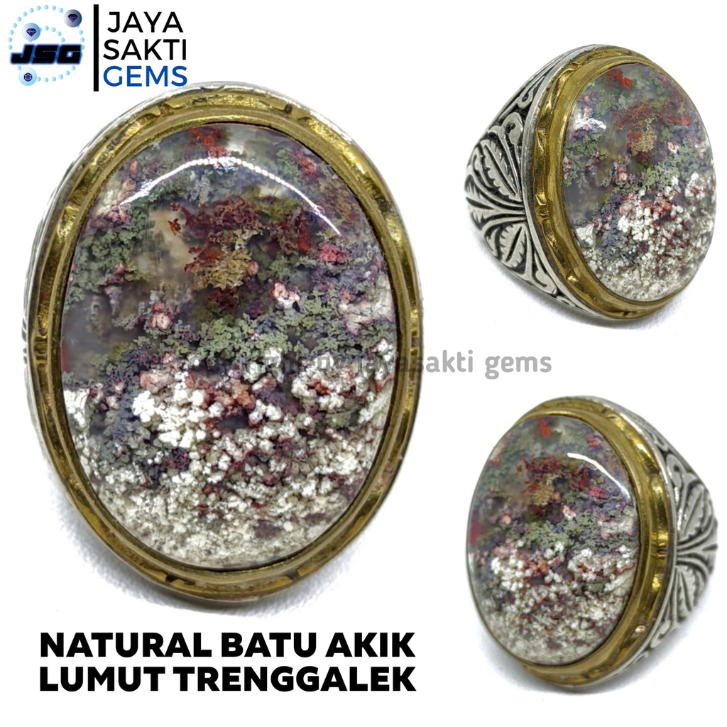 Natural Batu Akik Lumut Trenggalek Ring Alpaka German LT01
