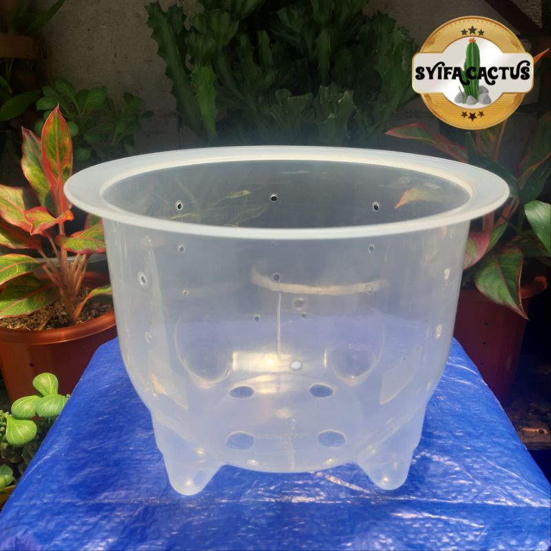 POT BUNGA NKT PANDA 21 BERLUBANG BENING TRANSPARAN | POT TANAMAN HIAS