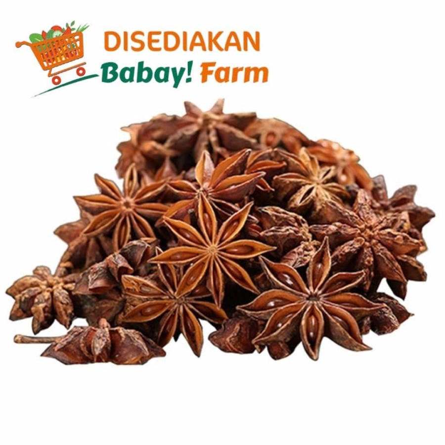 

Bunga Lawang 100 Gr