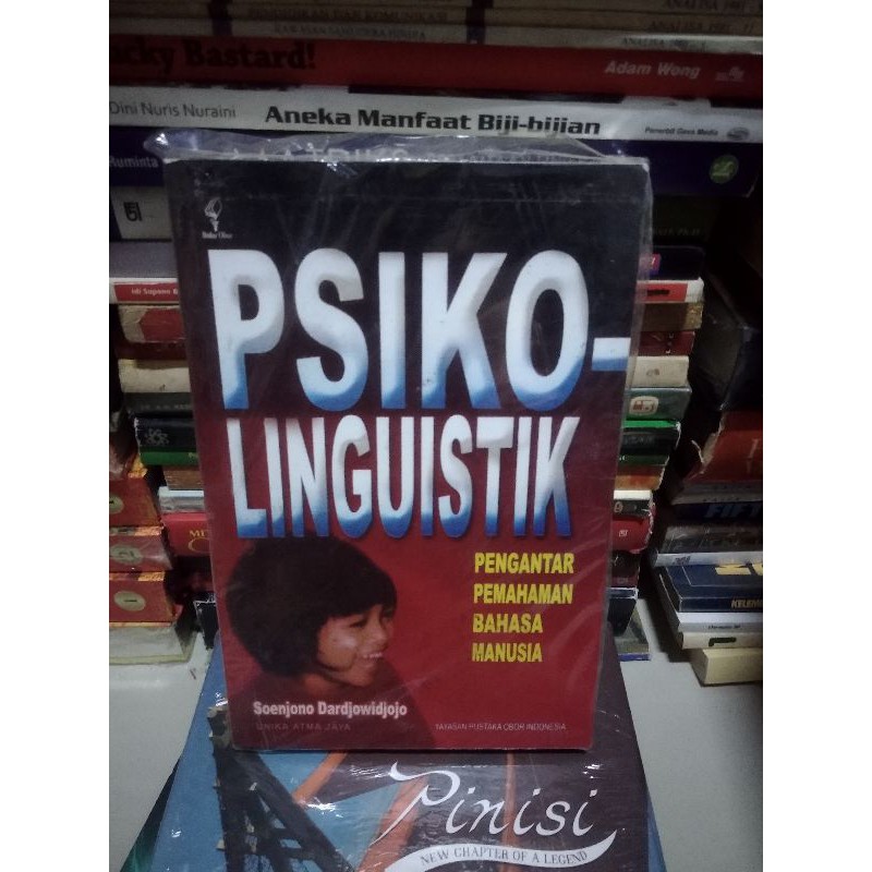

buku original - psikolinguistik oleh soenjono dardjowidjojo
