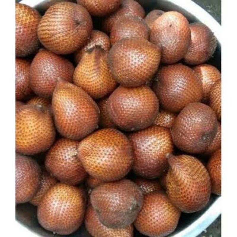 

salak gula pasir BEDUGUL BALI FRESH 1 kilo