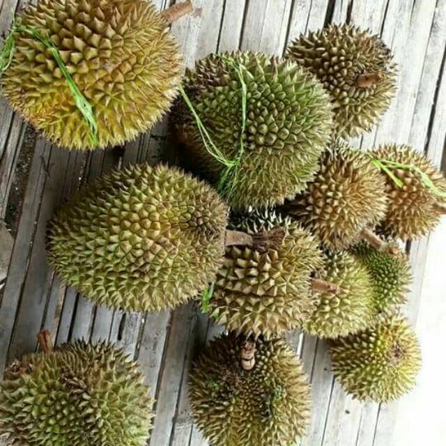 

Durian