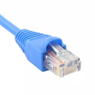 KABEL UTP COMMSCOPE CAT 6 AMP 10 METER TERPASANG RJ45 DAN