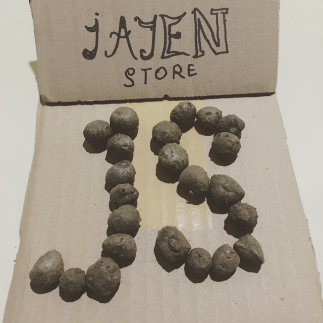 Bibit katak porang 1kg bisa request ukuran bibit katak