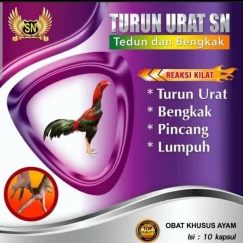 Obat Tedun lumpuh Turun urat pada ayam