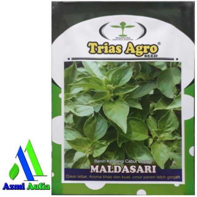 Benih Kemangi MALDASARI 5gram / Bibit Kemangi