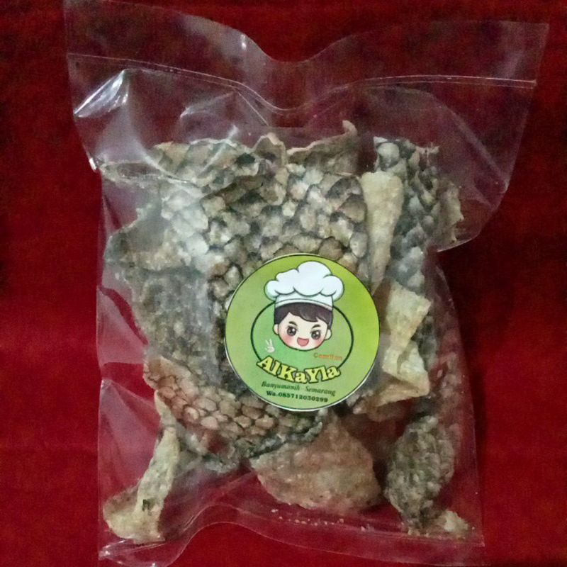

Kulit ikan kakap