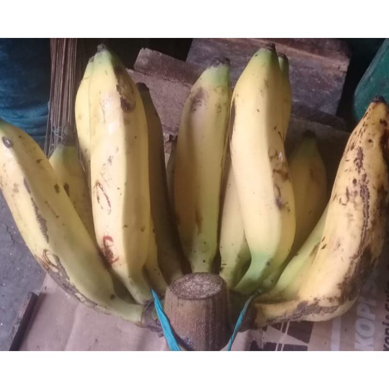 Pisang uli