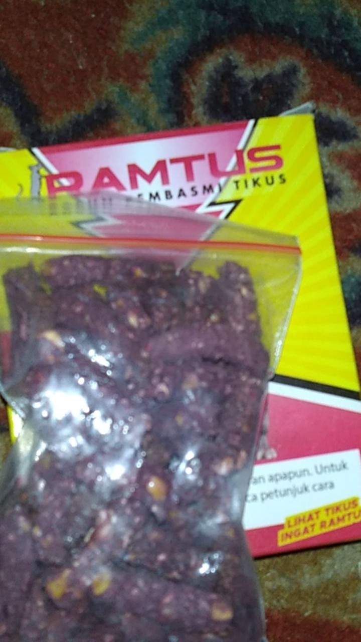 Ramtus Racun Hama Tikus Paling Ampuh Obat Pengusir Pembasmi Tikus Curut Mati Kering Tidak Bau 1 Pack