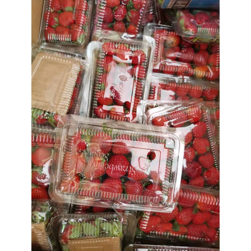 

Strawberry Lokal Premium [1pack] 32,5Kcal Stroberi Buah Segar - Fresh Strawberry