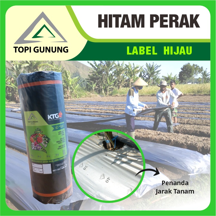 Mulsa Topi Gunung - Hitam Perak Besar - 17 kg - Label Hijau