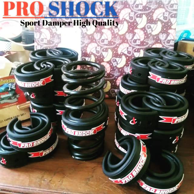 PRO SHOCK damper motor
