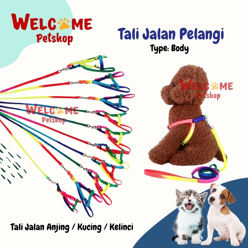 Tali Jalan Anjing Kucing Kelinci Pelangi / Leash / Tali Jalan