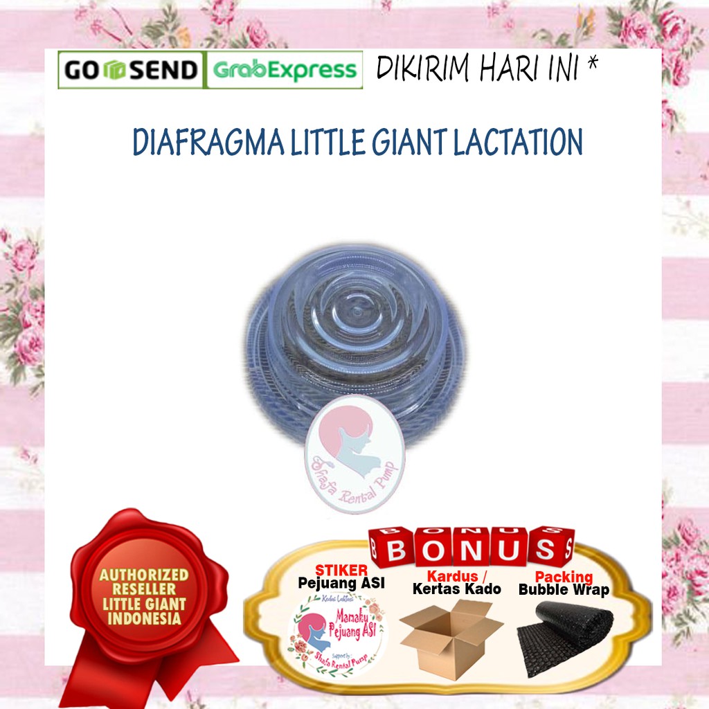 Diafragma Little Giant Lactation / Diafragma Avent Natural Comfort Elektrik