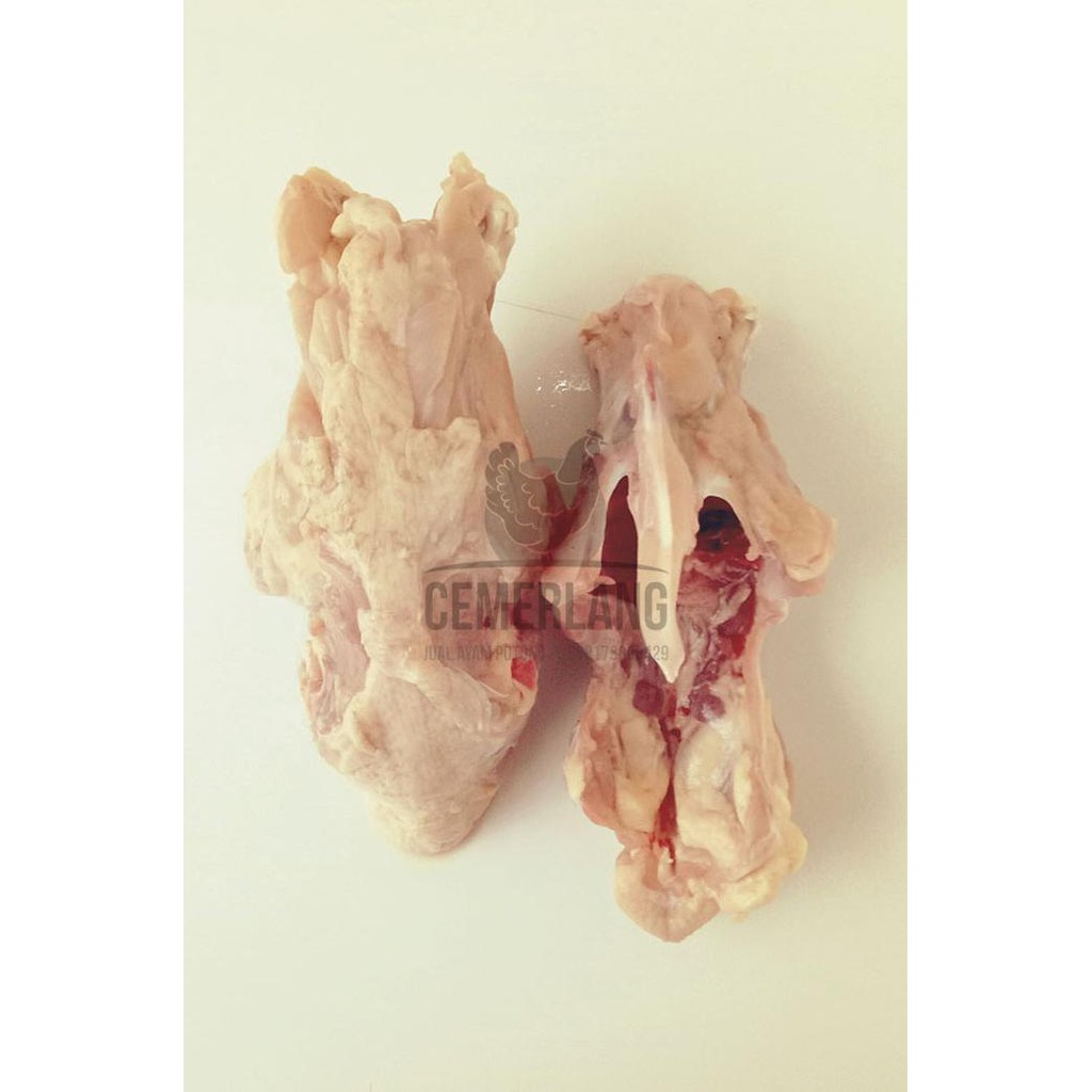

PROMO ENAK Tulang Badan Ayam (kerongkongan) Terlaris