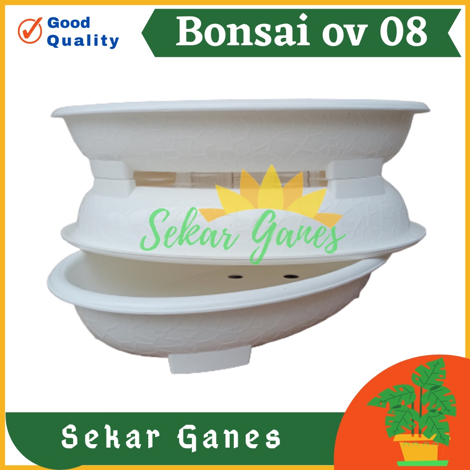 Sekarganes ORI BJP BONSAI OVAL OV 08 Putih Pot Bunga Plastik Bonsai Budi Jaya Motif Batu Alam Ceper Pendek Pot Bonsai Plastik Keramik Semen Bonsai Mame Kelapa Besar Mini