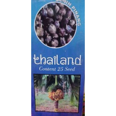 kecambah  pinang hibrida thailand