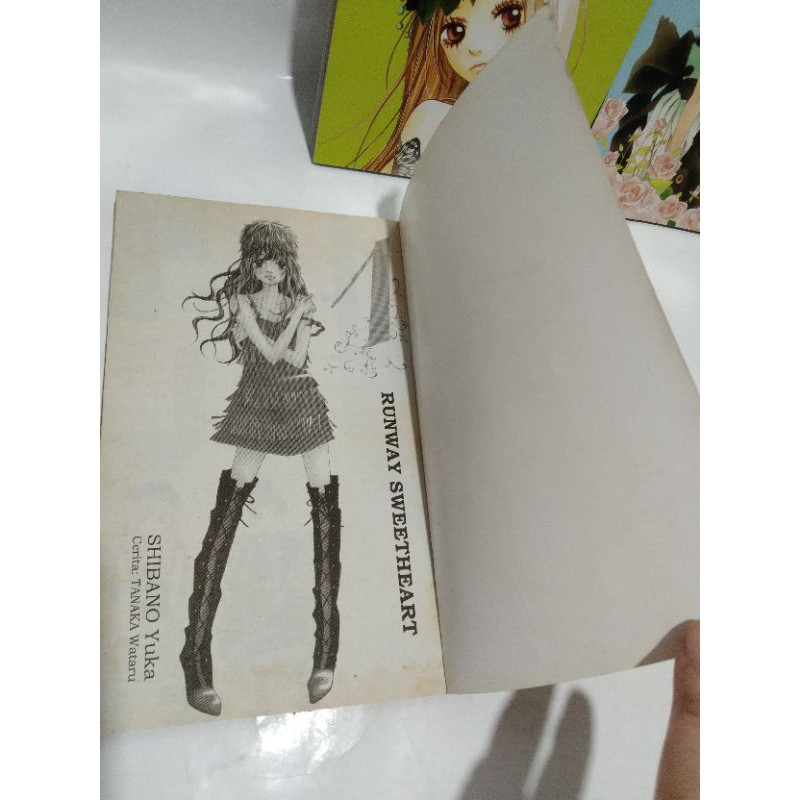 runway sweetheart 1-3 end