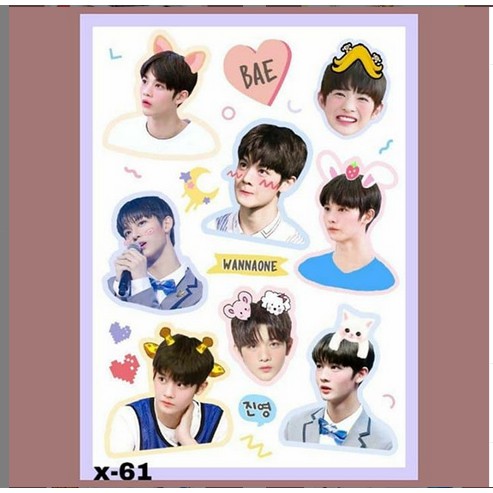 

STIKER TUMBLR AESTHETIC BAEJIN X-61