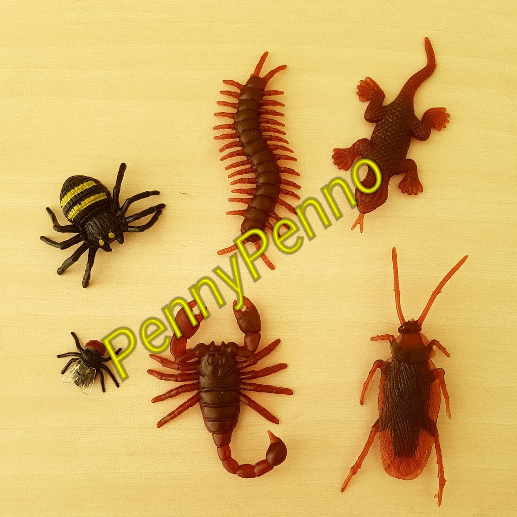 Mainan Kecoa, Cacing, Lalat Mirip Asli