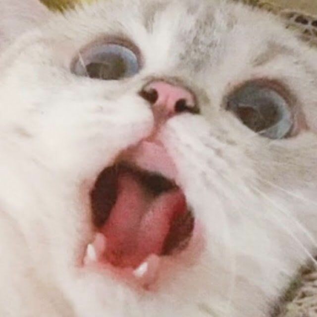 r*****_