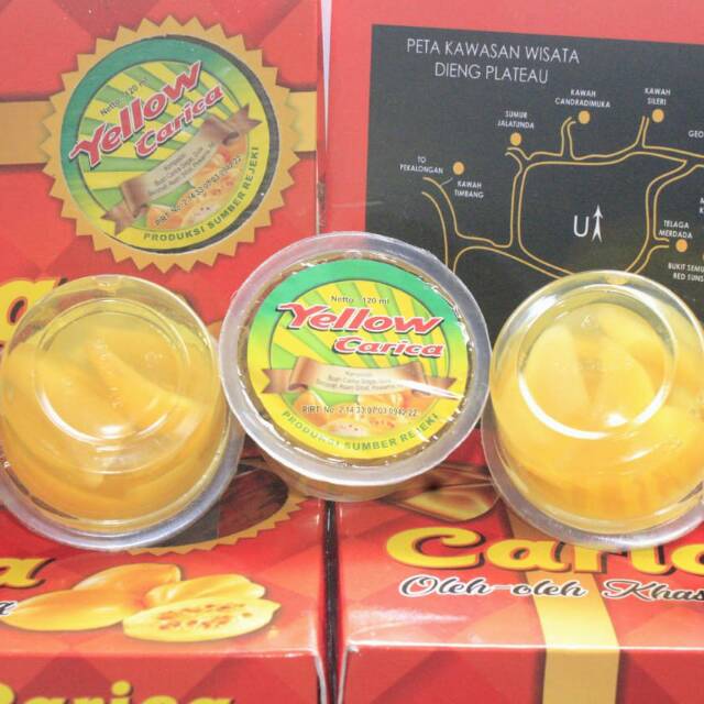 

CARICA MAKANAN KHAS DATARAN TINGGI DIENG 100% GULA ASLI