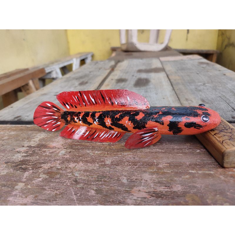 Miniatur Channa Maru YS