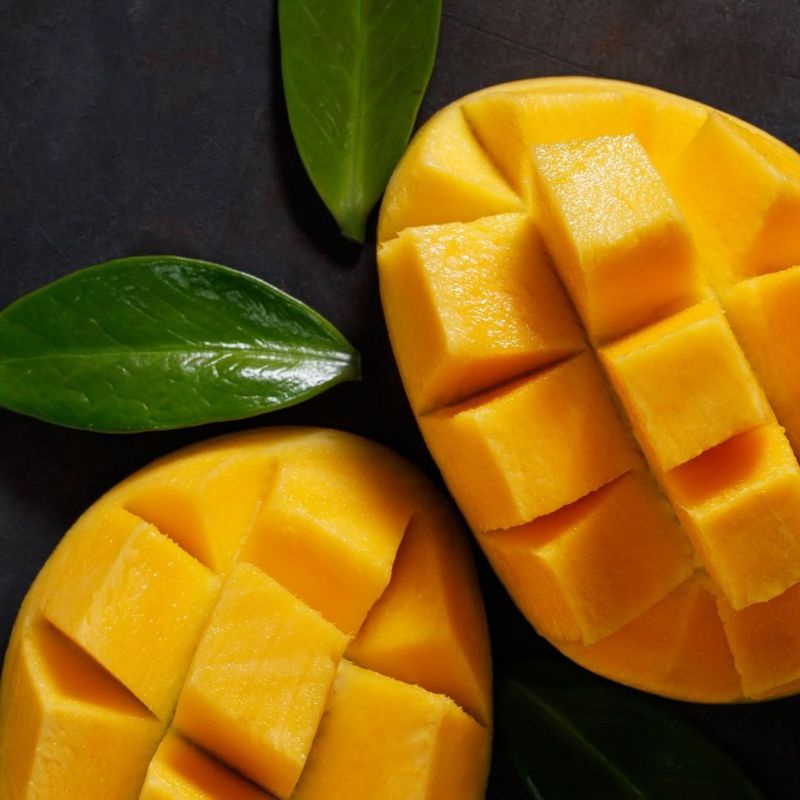 Bibit Tanaman Mangga Harum Manis Super Hasil Okulasi Stek Cangkok Cepat Berbuah