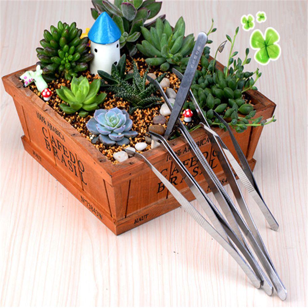 Top Bonsai Tweezer Fashion DIY Aksesori Alat Berkebun Anti-Statis