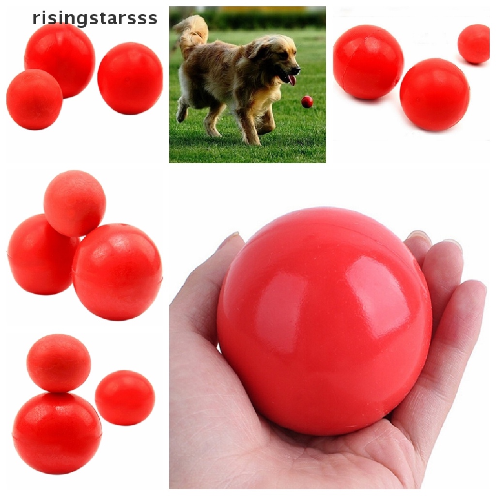 Rsid Span-new Indestructible Solid Rubber Ball Pet cat Dog Training Chew Play Fetch Bite Mainan Jelly