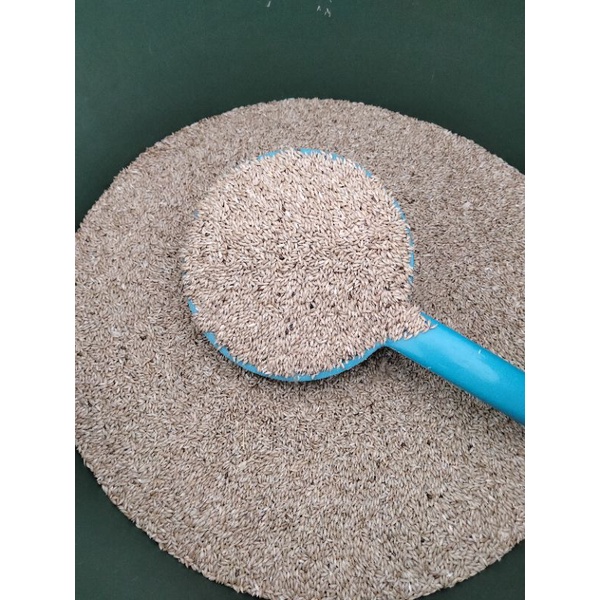 CANARY SEED 1KG / MAKANAN KENARI