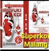 Hiroyuki 1KG 1 KG Super Bulky Dan Colour Max Pakan Koi