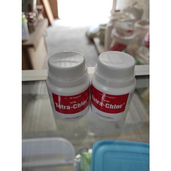 Tetra Chlor botol isi 50 kapsul