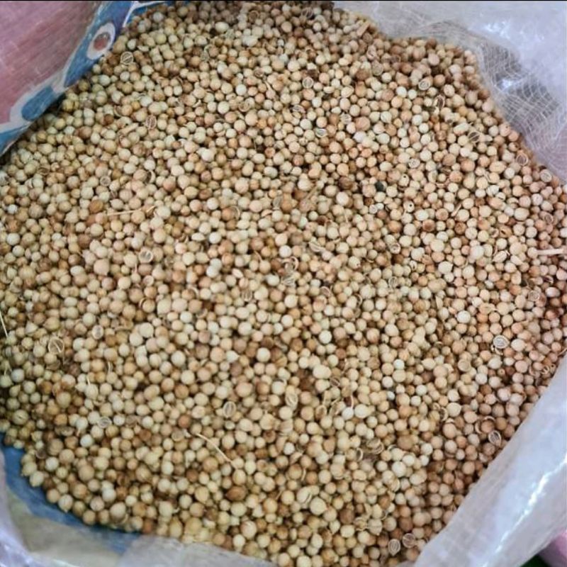 

1KG KETUMBAR PUTIH ASLI ORIGINAL