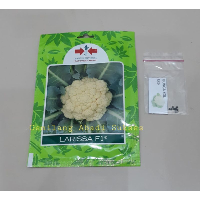 Benih Bunga Kol Biji Bunga Kol Panah Merah - Kemasan Repack