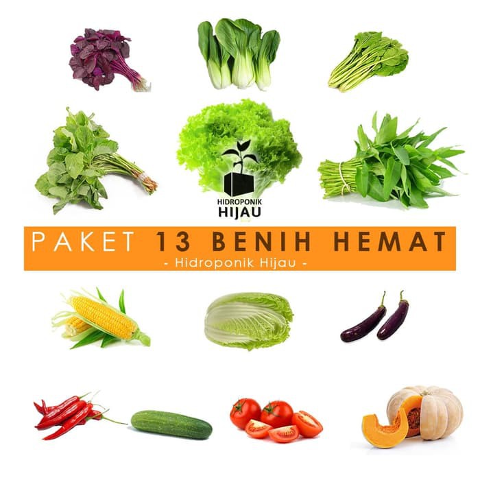

Paket Hemat Benih Eceran 13 Jenis Sayuran Bonus 3pc Polybag